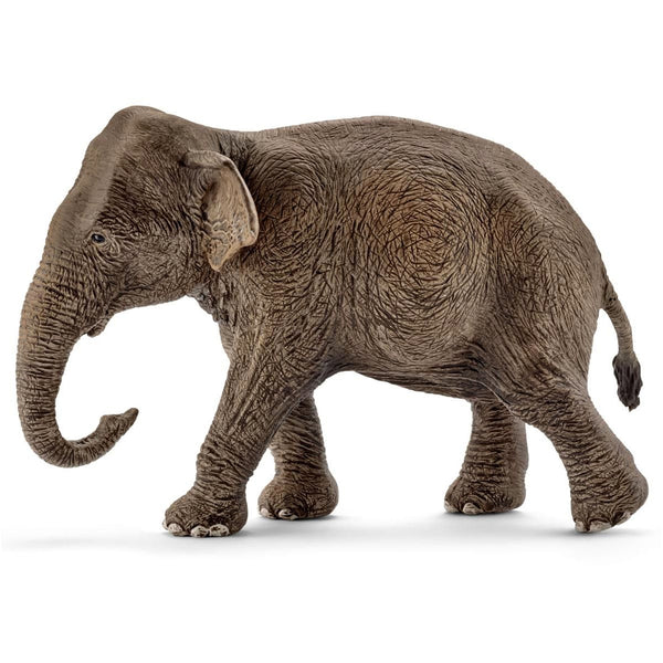 Schleich Wild Life Asian Elephant, Female Toy Figurine