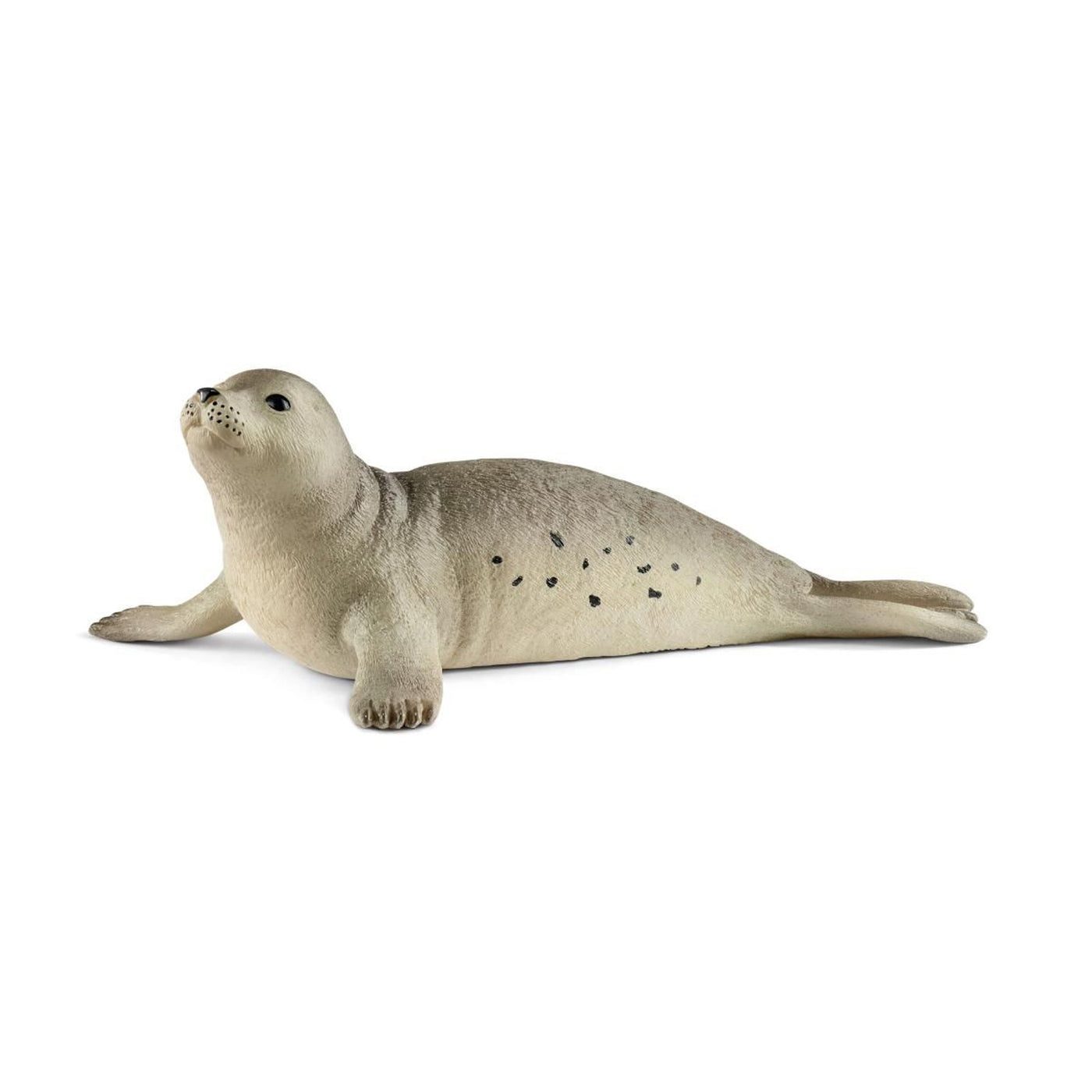 Schleich Wild Life Seal Toy Figurine
