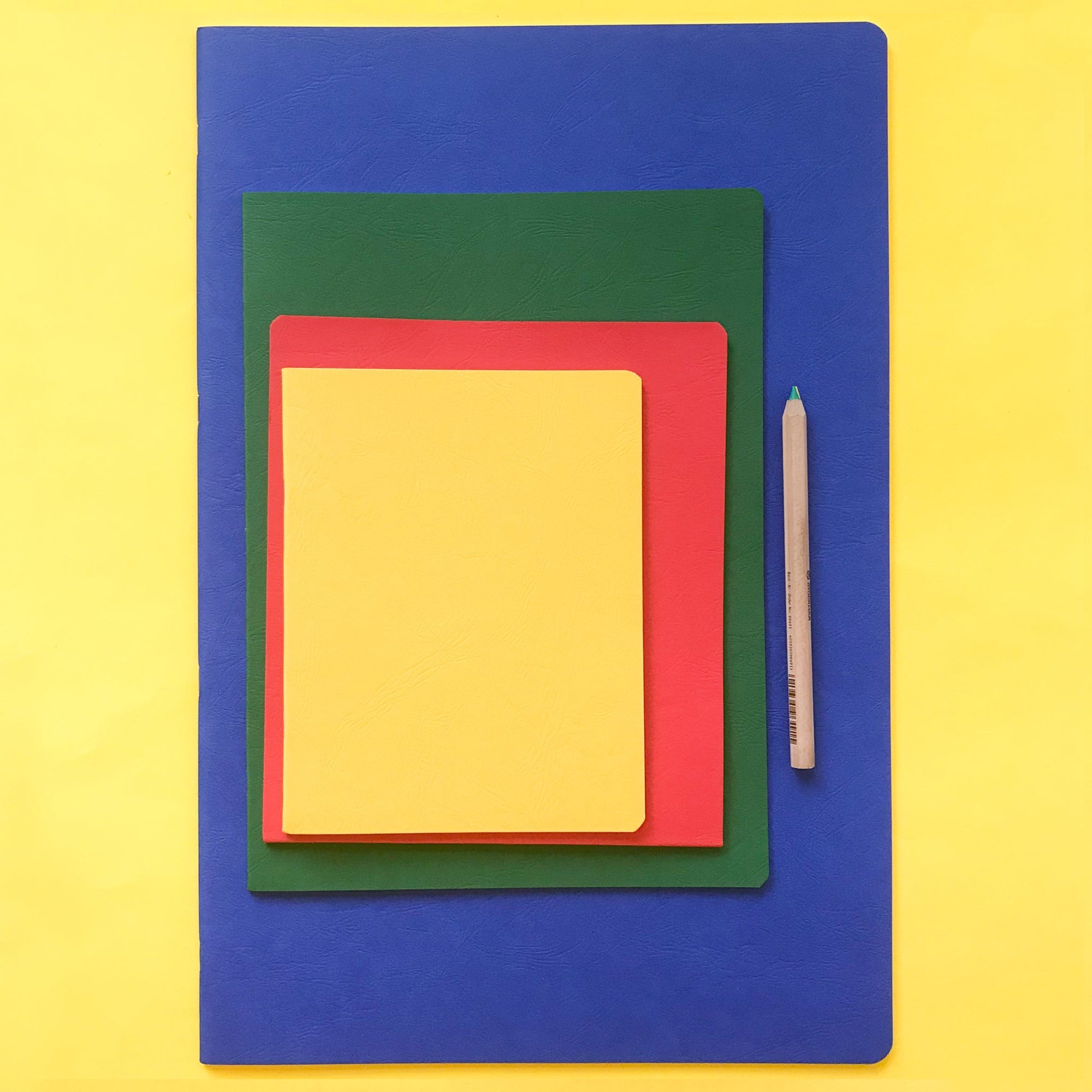 Blank sketch books to write, draw or collage in.