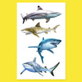 Shark World stickers by Mrs. Grossman's