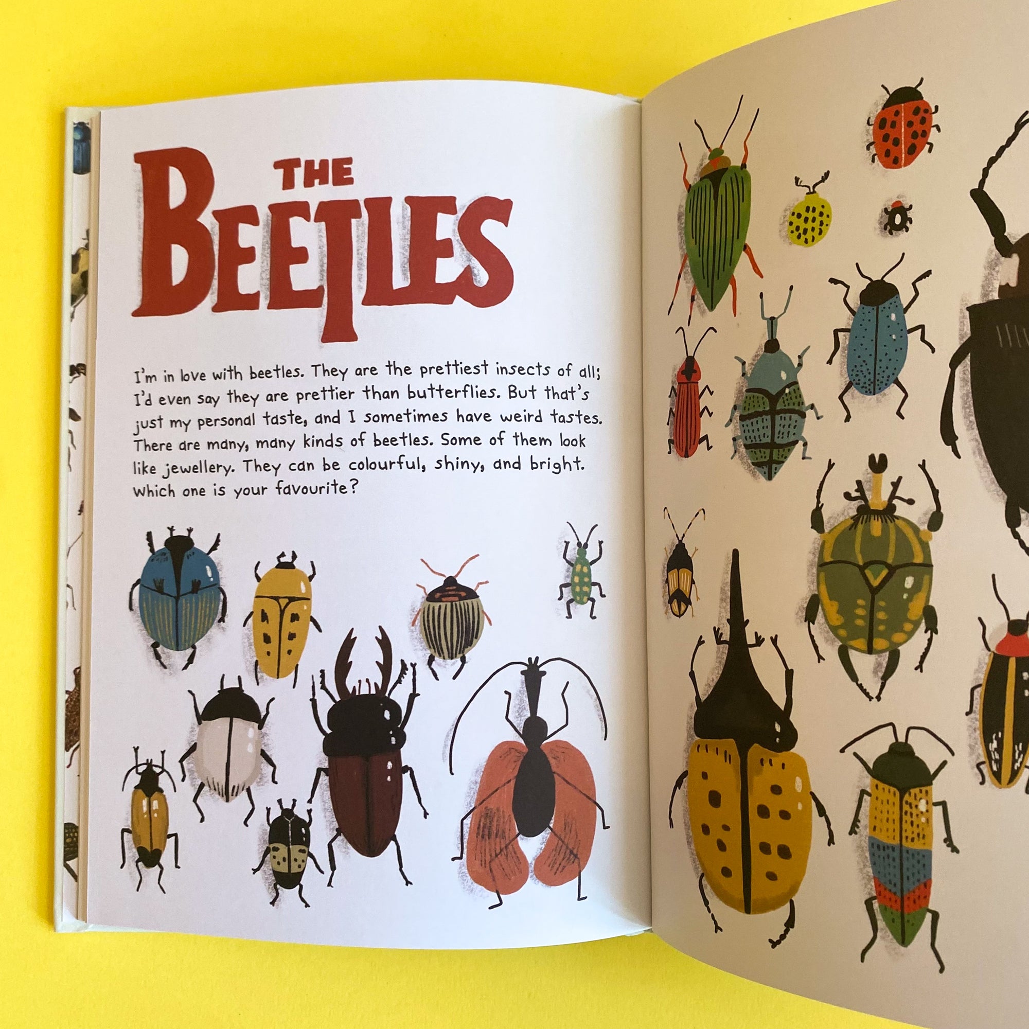 The Bug Club by Elise Gravel
