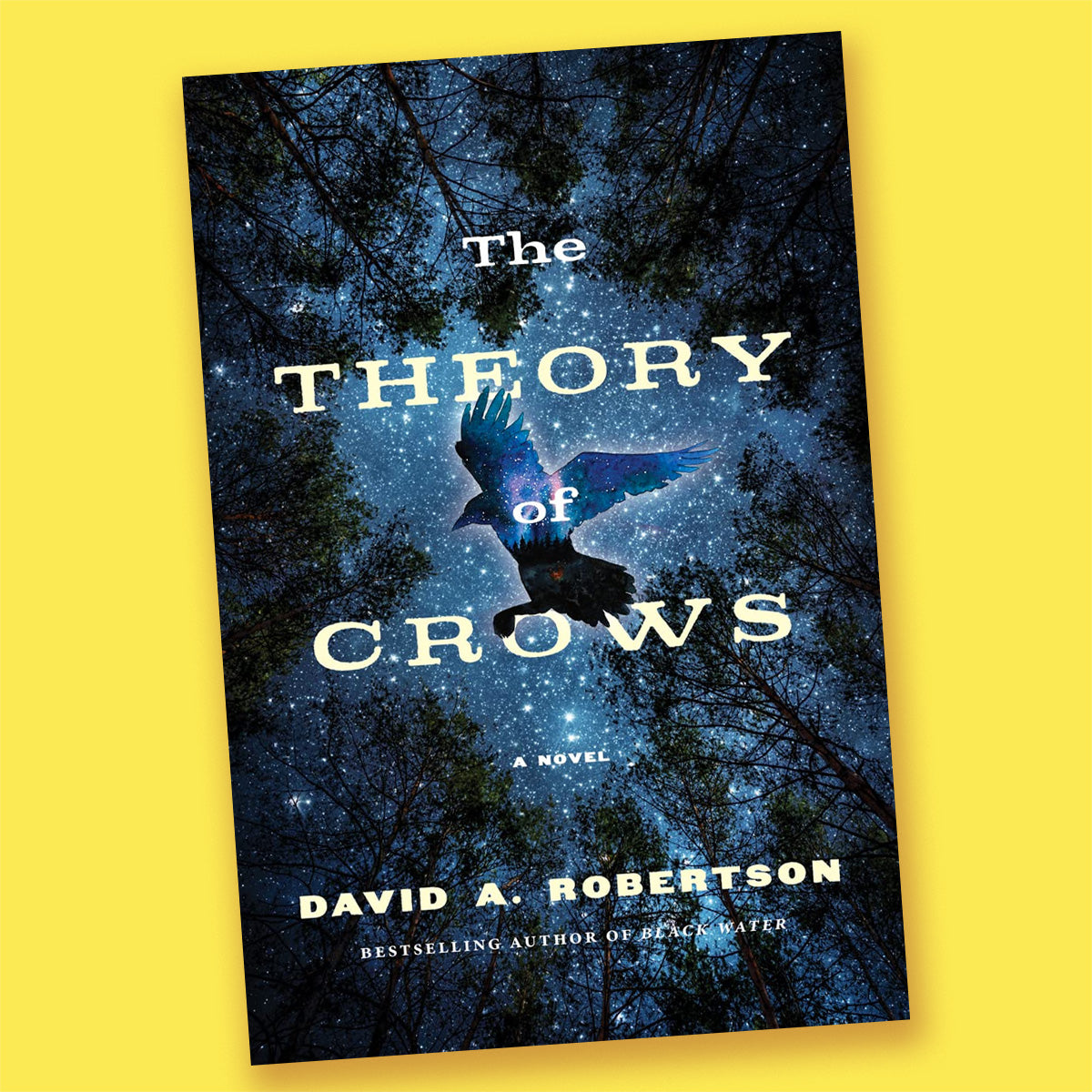 The Theory of Crows: A Novel by David A. Robertson
