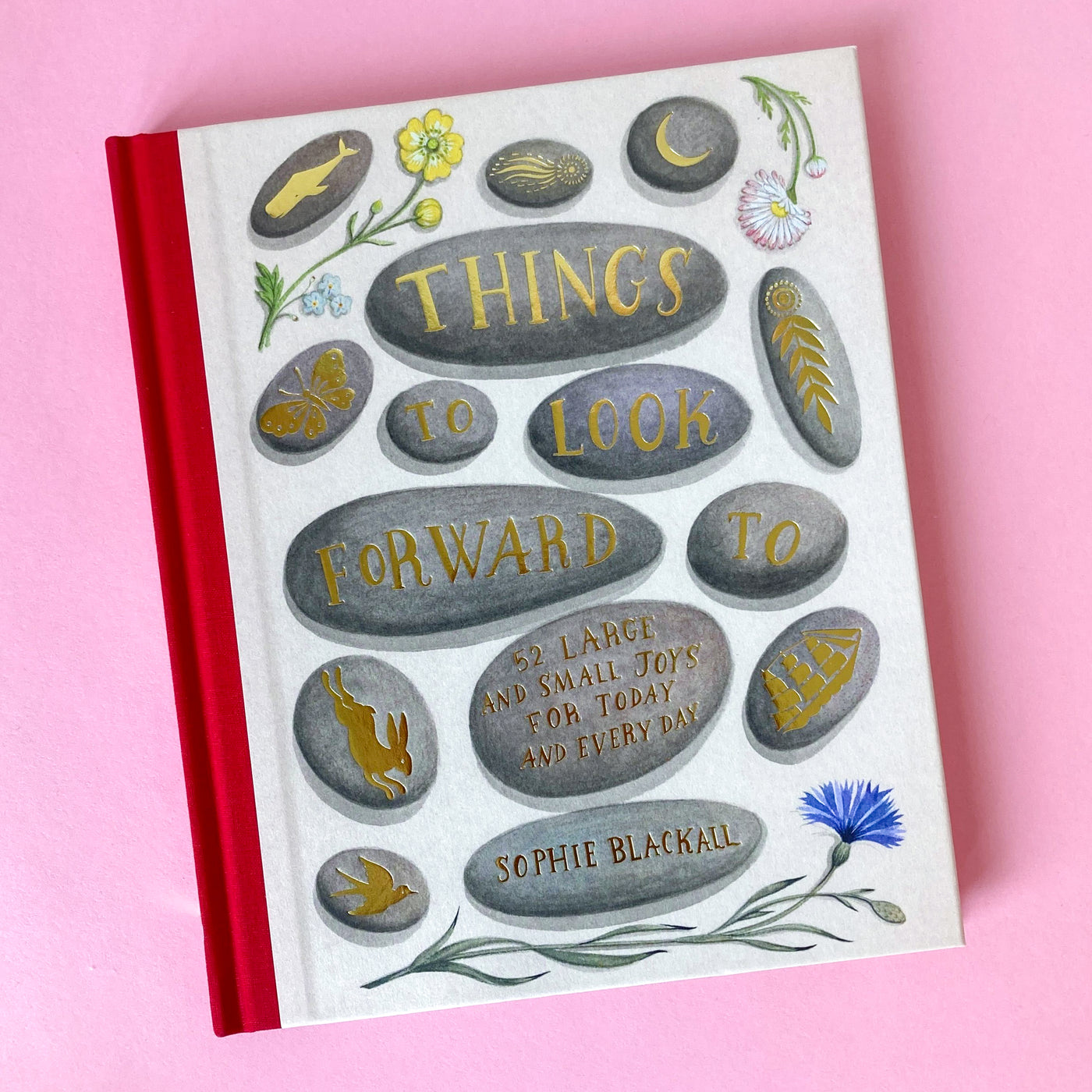 Things to Look Forward To: 52 Large and Small Joys for Today and Every Day by Sophie Blackall