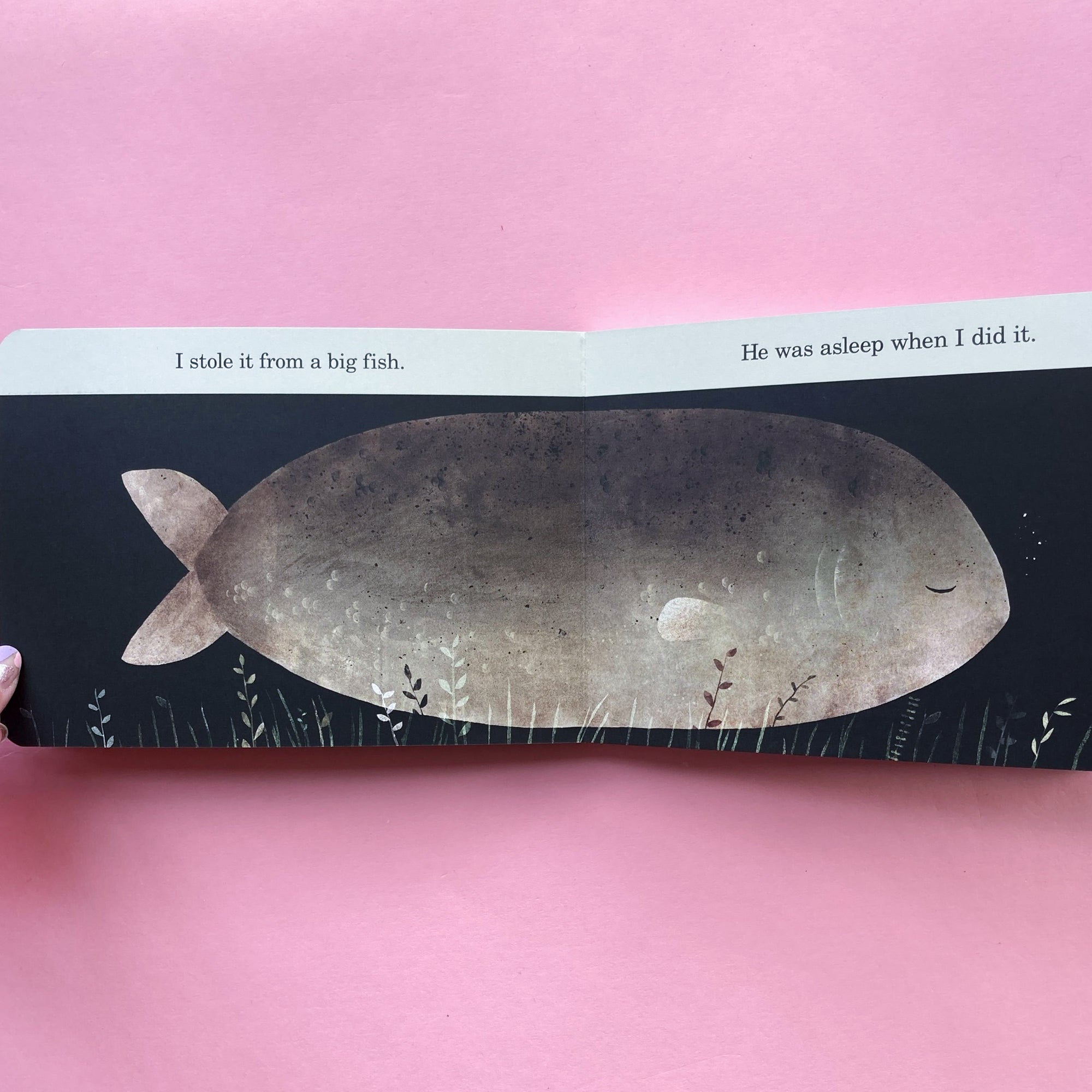 This Is Not My Hat by Jon Klassen