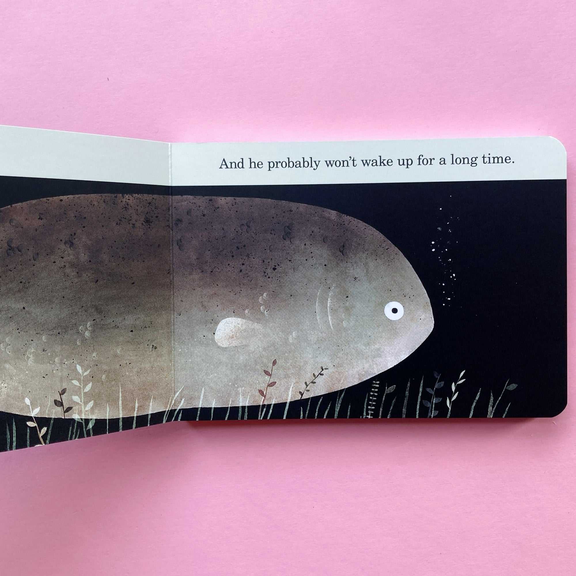 This Is Not My Hat by Jon Klassen