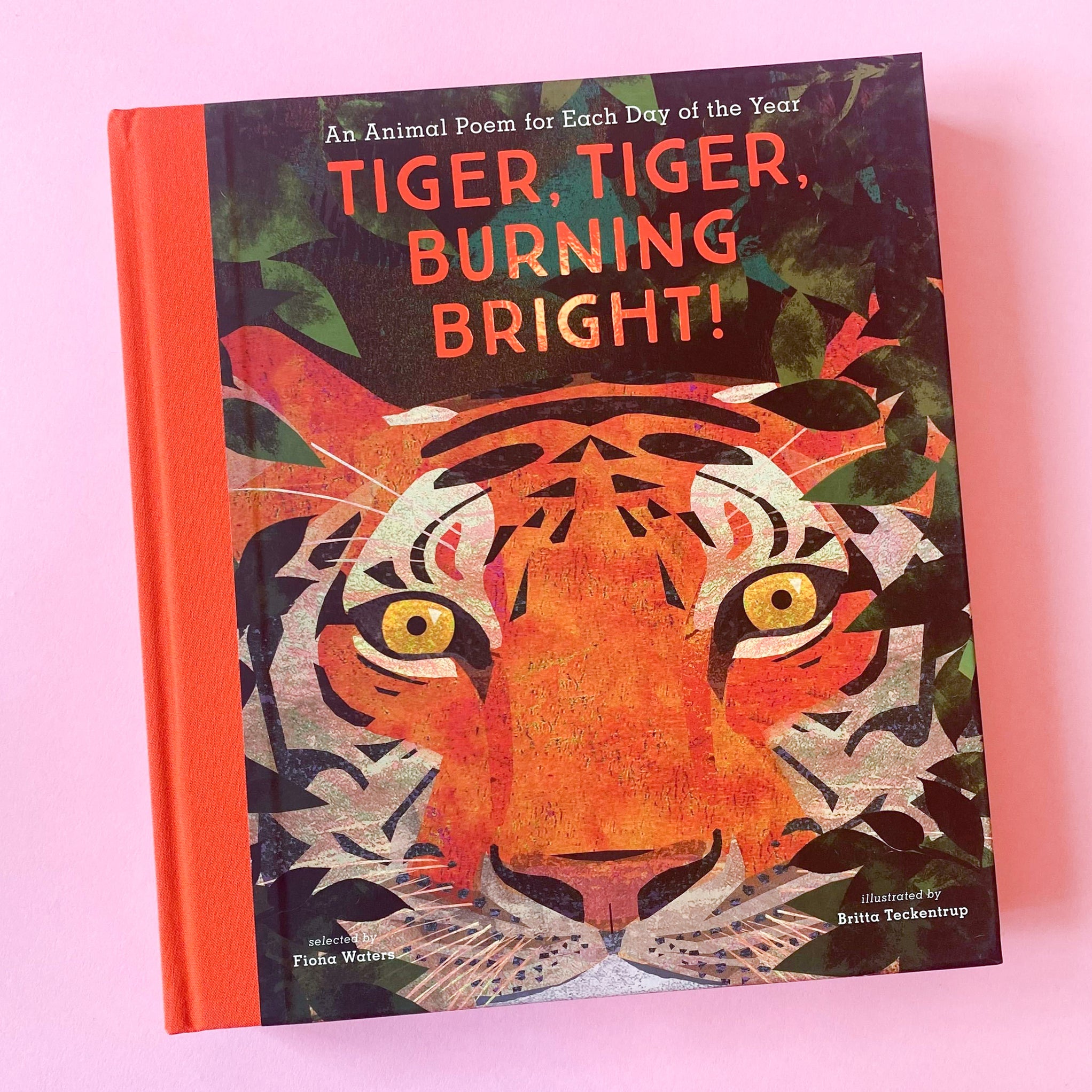 Tiger, Tiger, Burning Bright! An Animal Poem for Each Day of the Year