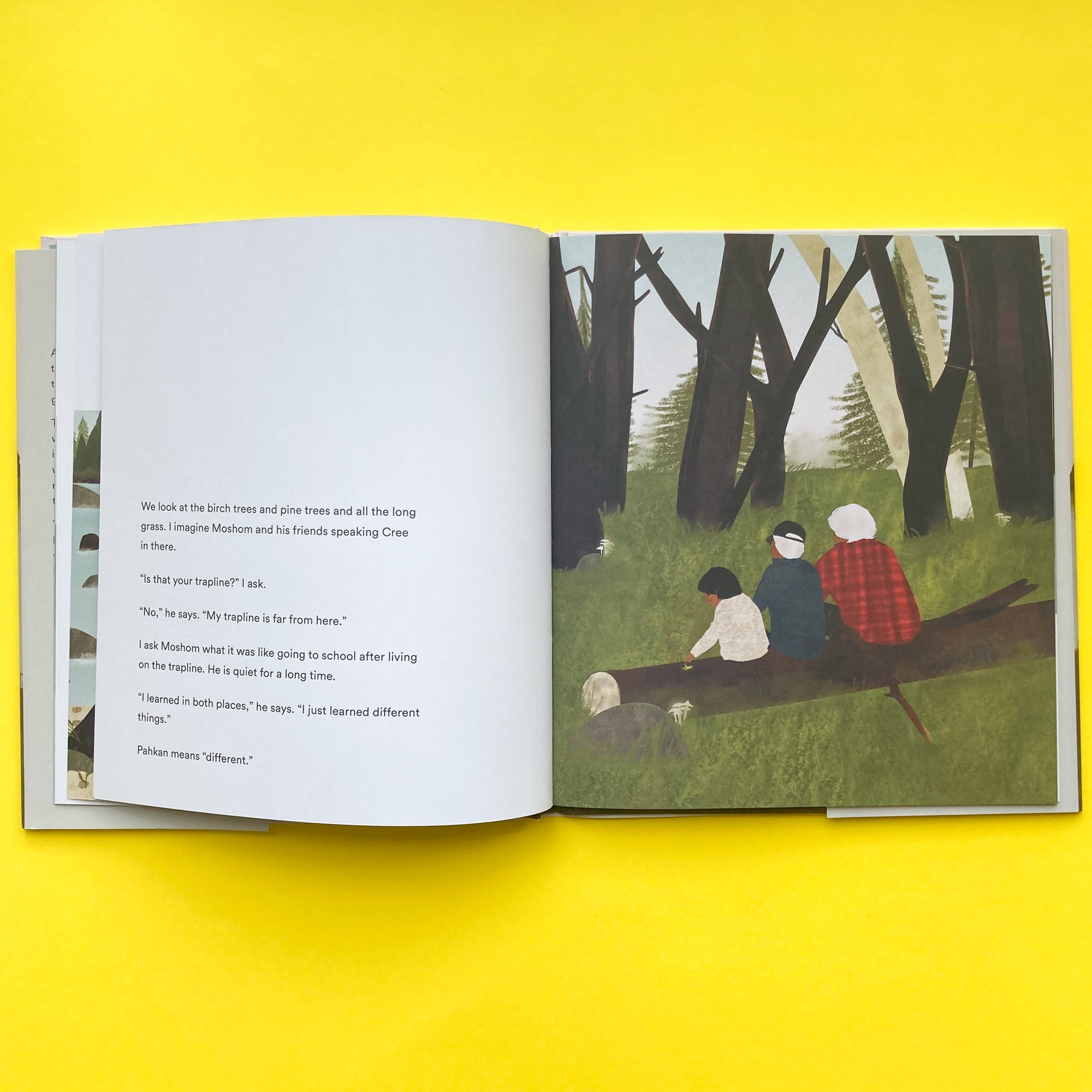 On the Trapline by David A. Robertson and Illustrated by Julie Flett