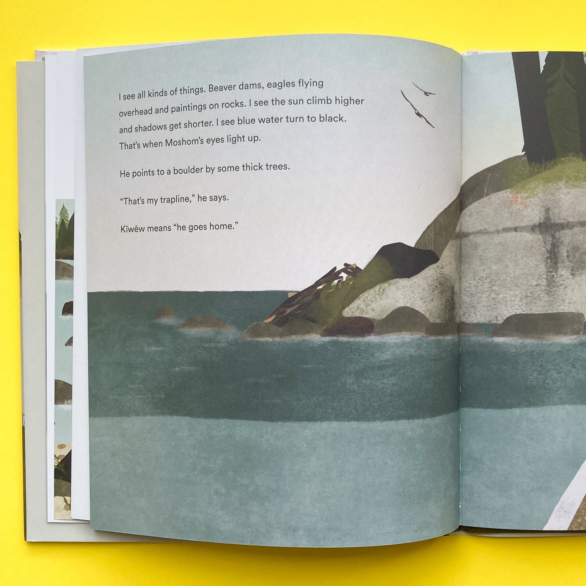 On the Trapline by David A. Robertson and Illustrated by Julie Flett
