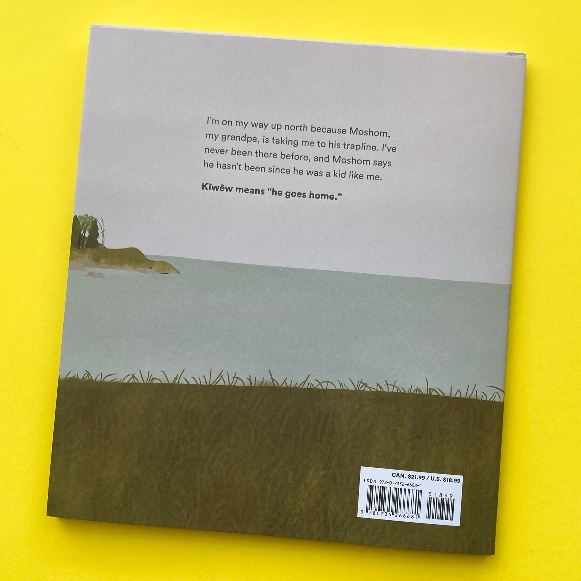 On the Trapline by David A. Robertson and Illustrated by Julie Flett