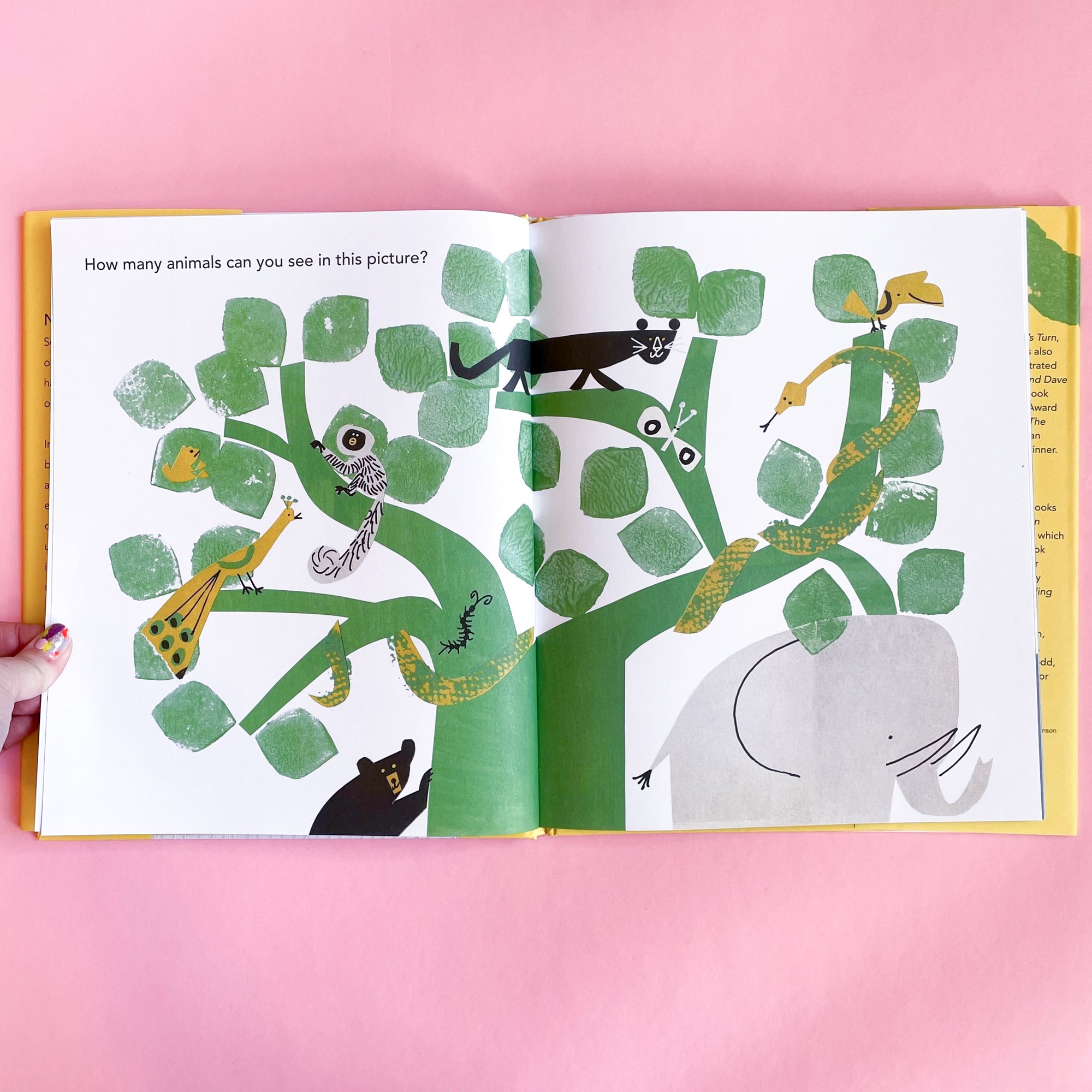 Twenty Questions by Mac Barnett and Christian Robinson