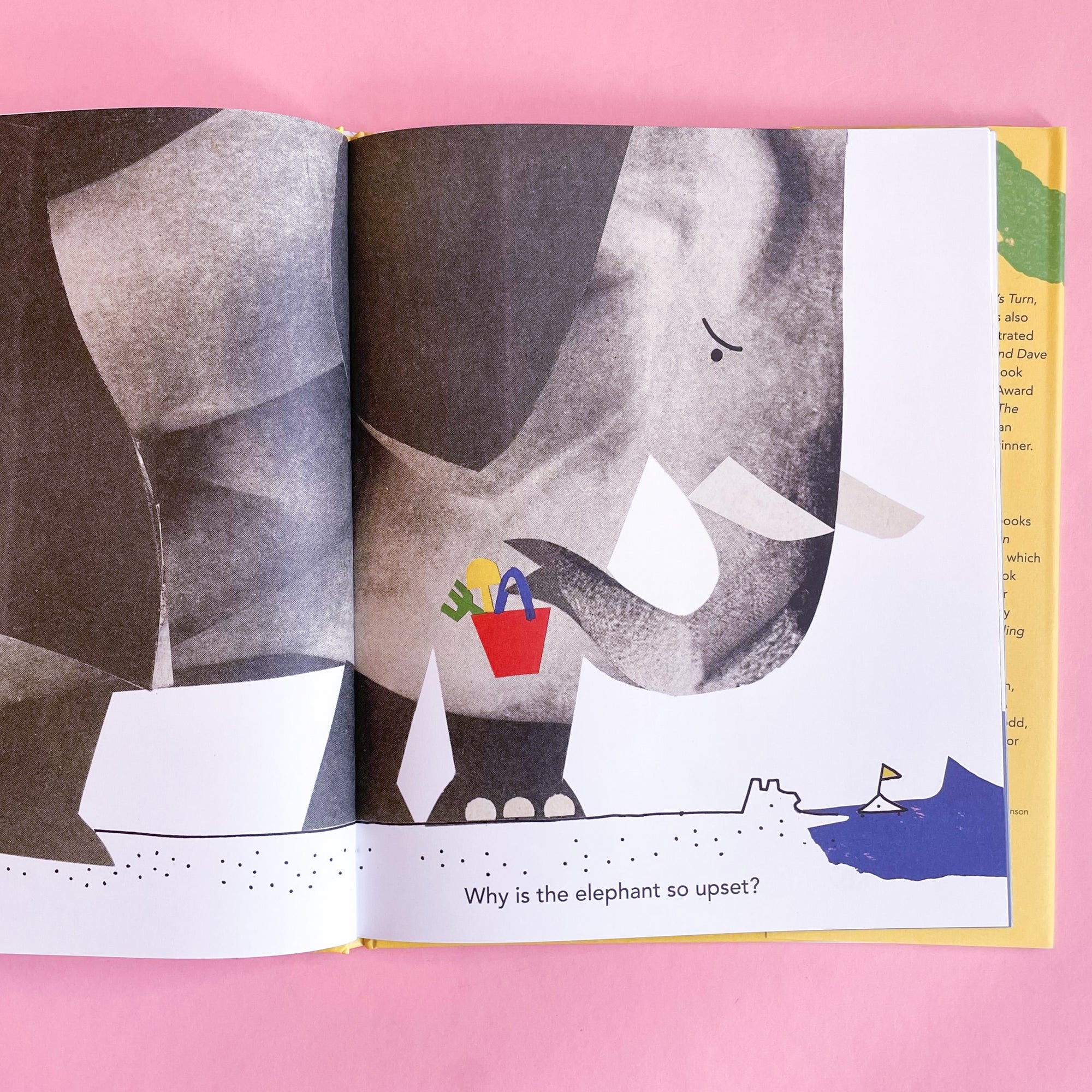 Twenty Questions by Mac Barnett and Christian Robinson