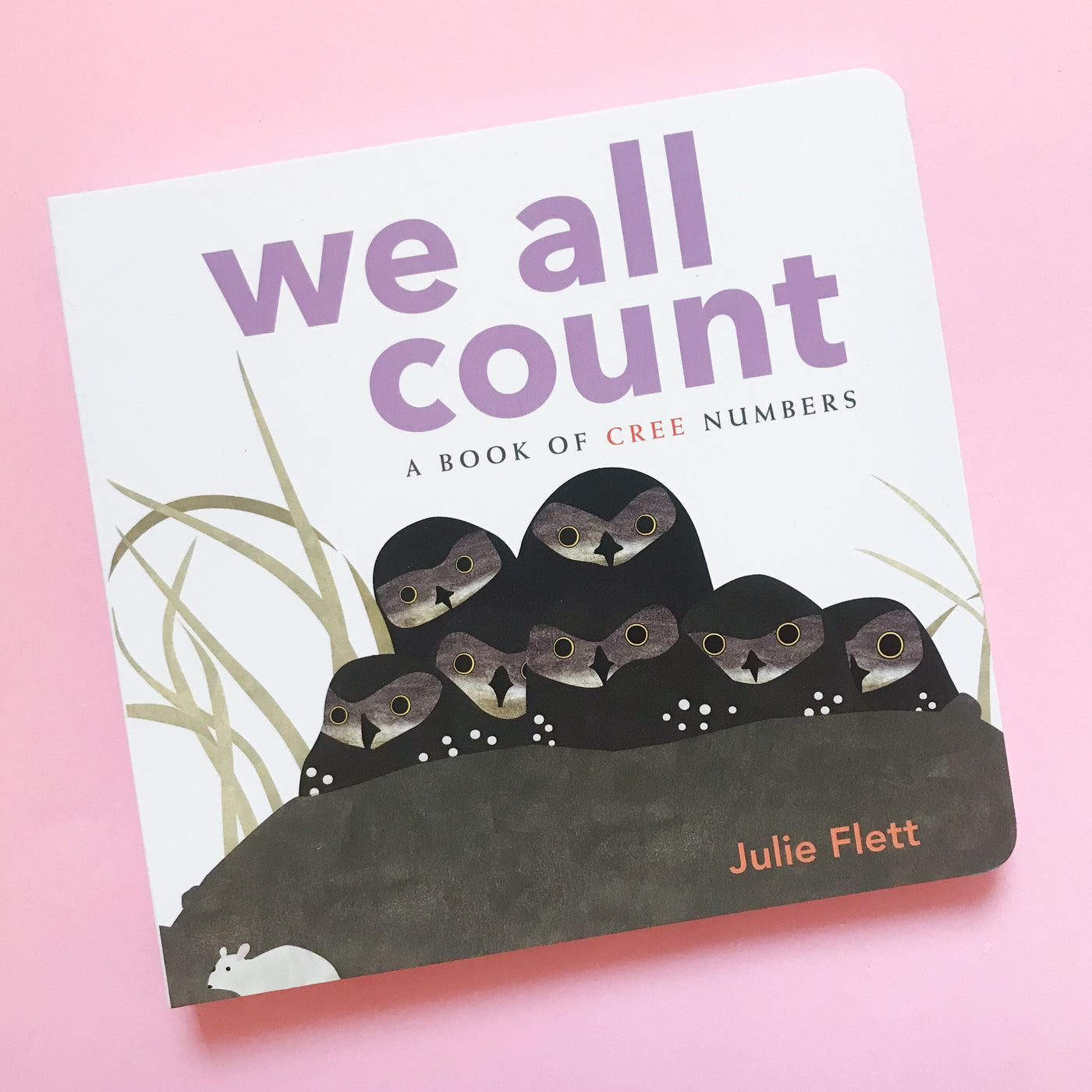 We All Count by Julie Flett