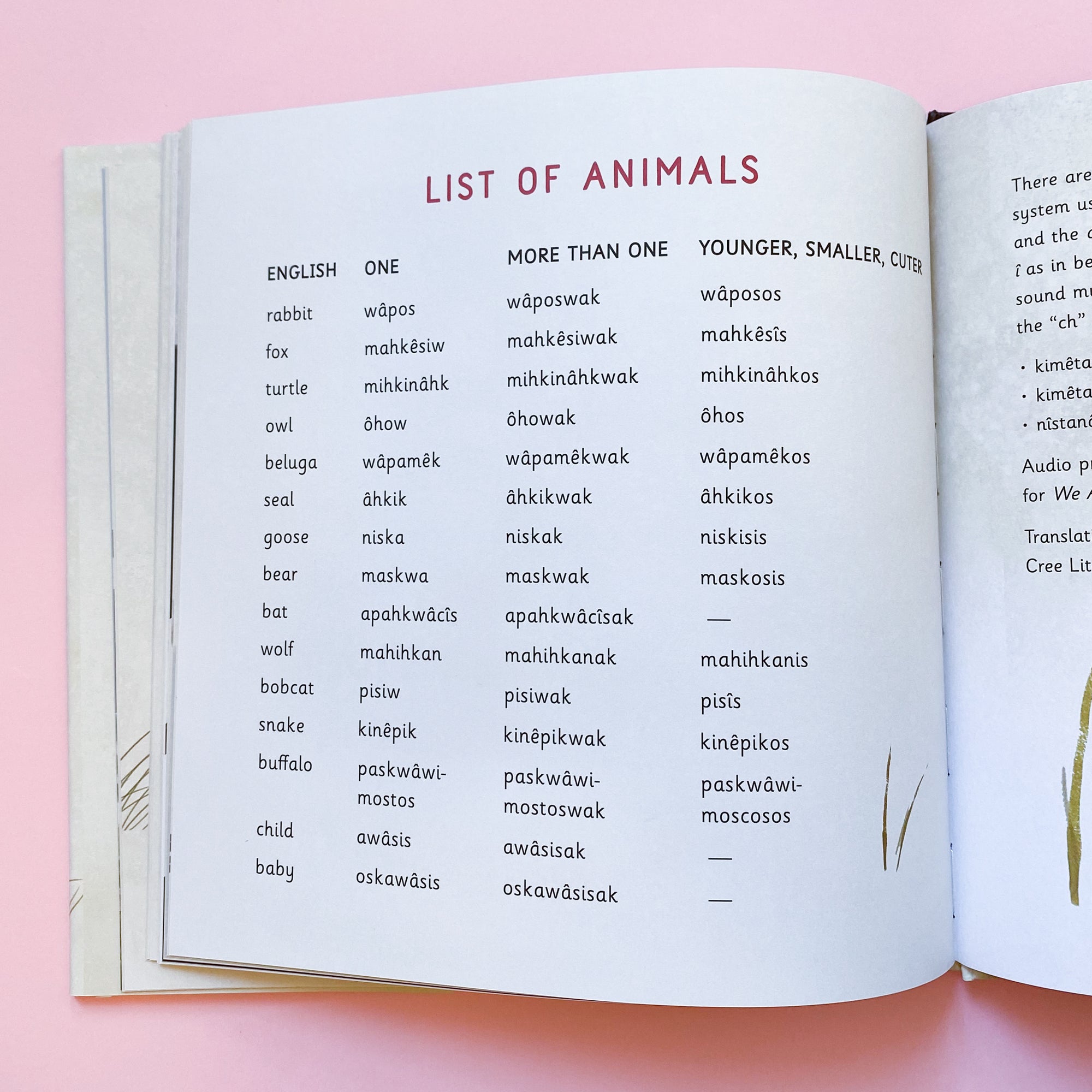 We All Play by Julie Flett