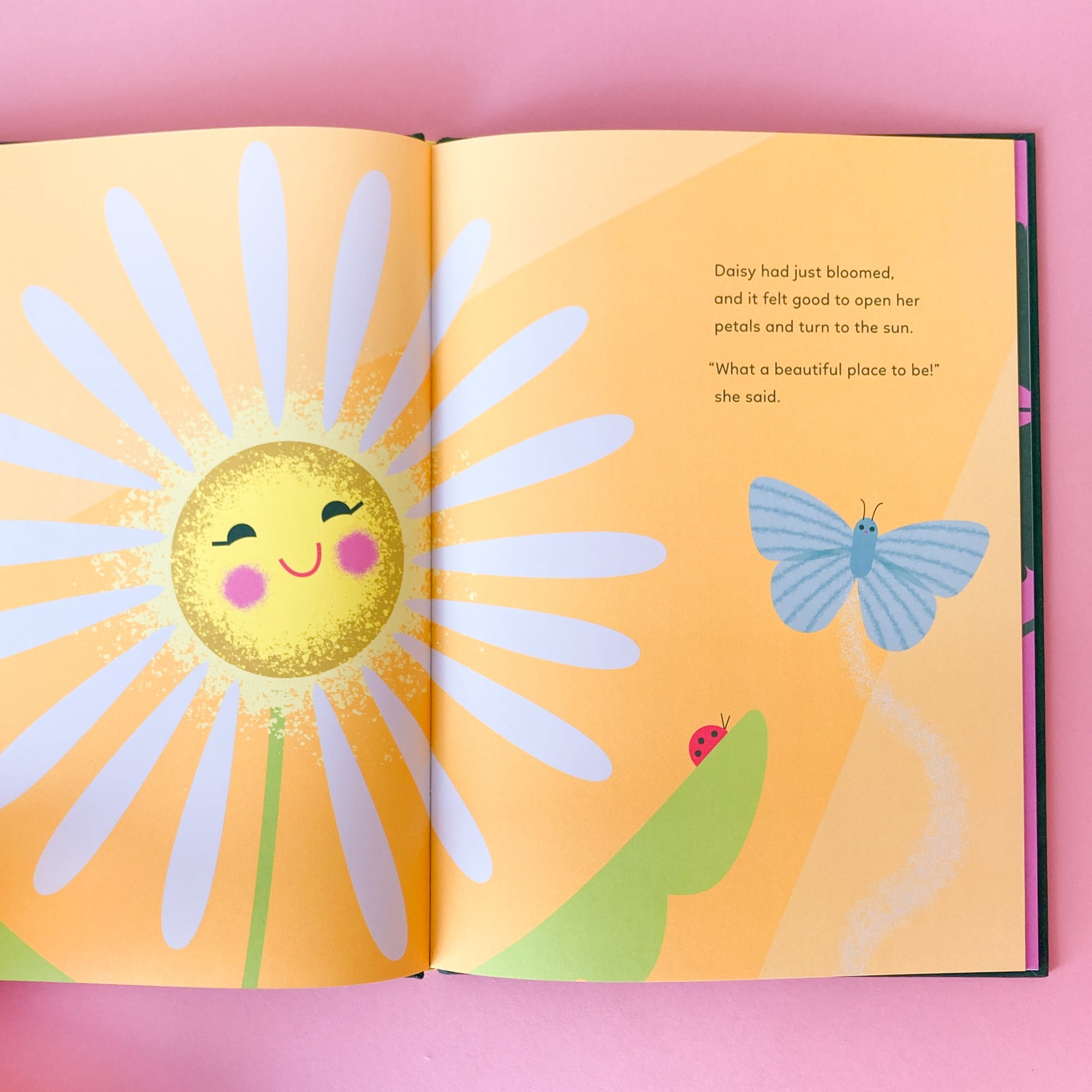 Wildflower by Melanie Brown and Sara Gillingham