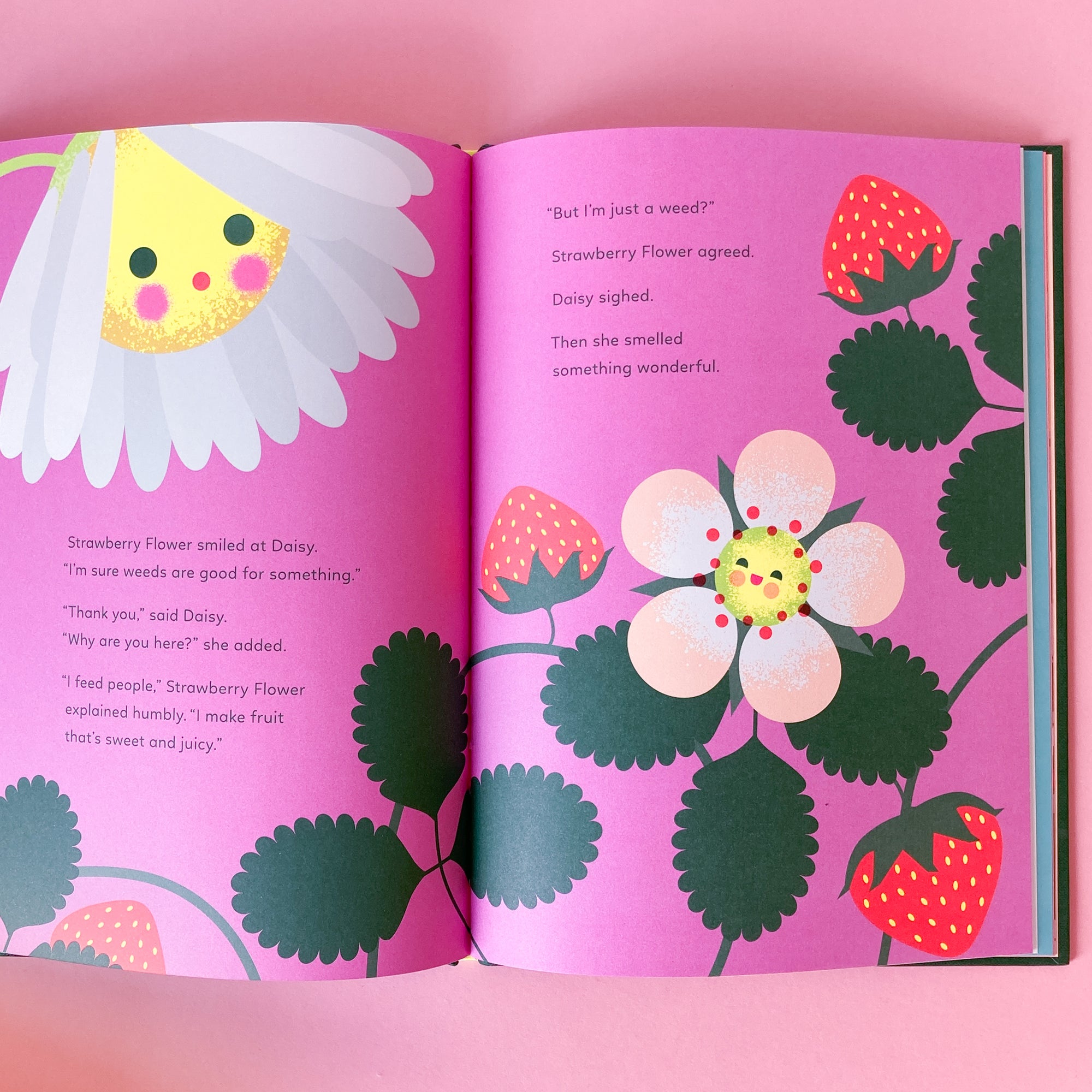 Wildflower by Melanie Brown and Sara Gillingham