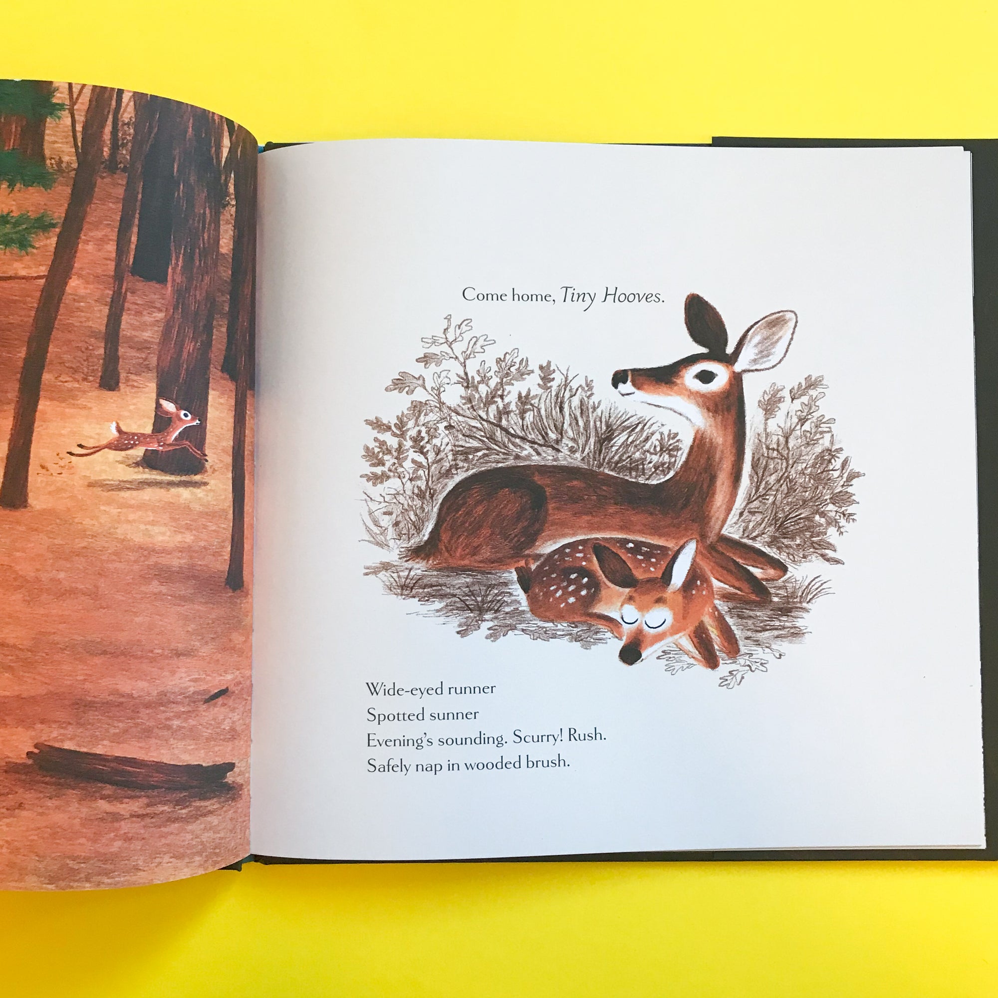 Woodland Dreams by Karen Jameson and Marc Boutavant