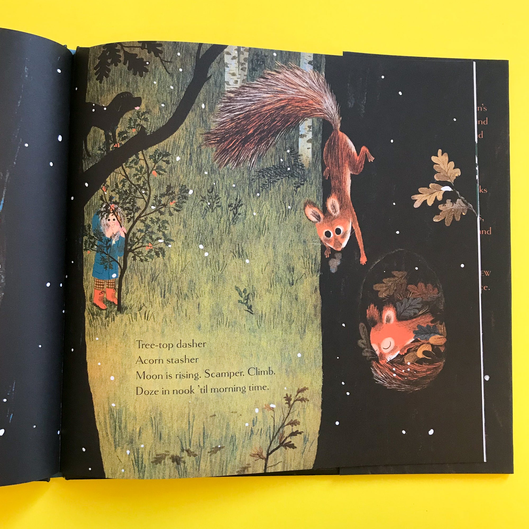 Woodland Dreams by Karen Jameson and Marc Boutavant