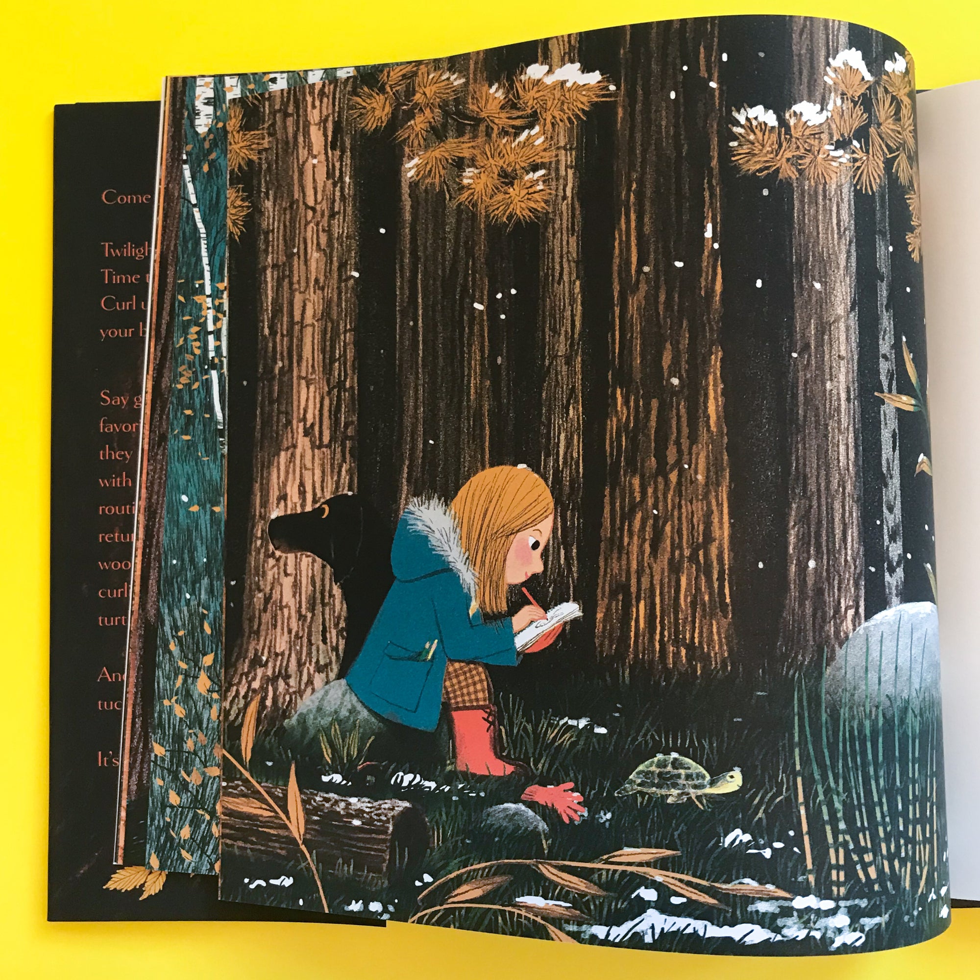 Woodland Dreams by Karen Jameson and Marc Boutavant